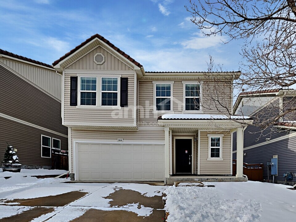 2616 Coach House Loop in Castle Rock, CO - Building Photo