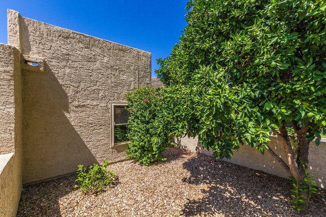 7848 E Bonita Dr in Scottsdale, AZ - Foto de edificio - Building Photo