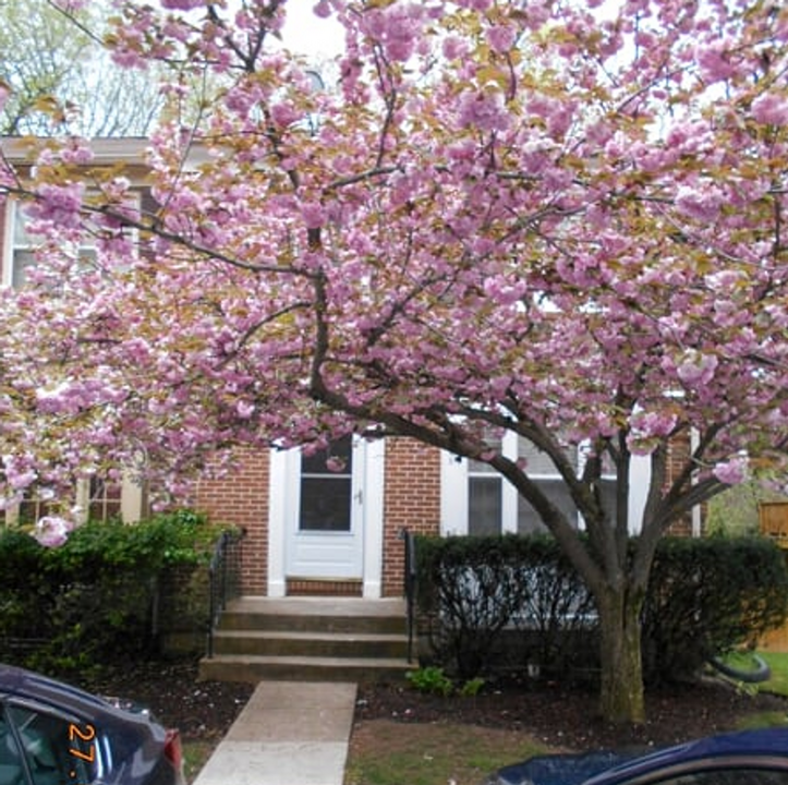 10932 Rampart Way in Silver Spring, MD - Building Photo