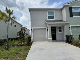 17229 Amber Aspen Wy in Land O Lakes, FL - Building Photo