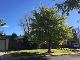 1562 Oakroyal Dr in Concord, CA - Building Photo