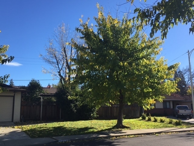 property at 1562 Oakroyal Dr