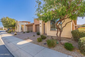 36211 N Desert Tea Dr in Queen Creek, AZ - Building Photo - Building Photo
