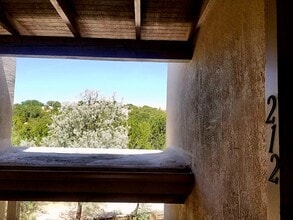 941 Calle Mejia, Unit 212 in Santa Fe, NM - Building Photo - Building Photo