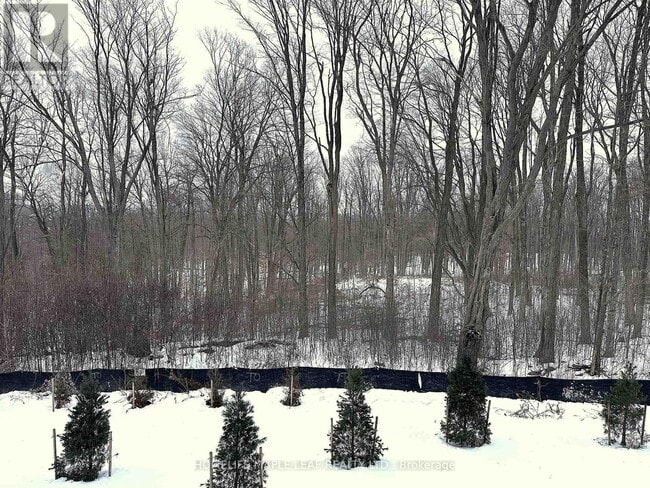 property at 1100 Lackner Pl