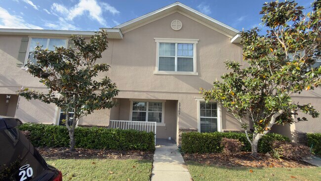 27507 Desert Willow Way in Wesley Chapel, FL - Building Photo - Building Photo