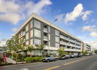 5925 Charlotte Dr in San Jose, CA - Foto de edificio - Building Photo