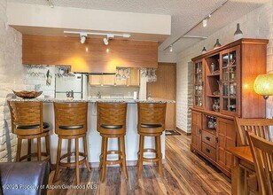 313 Vine St in Aspen, CO - Building Photo - Building Photo