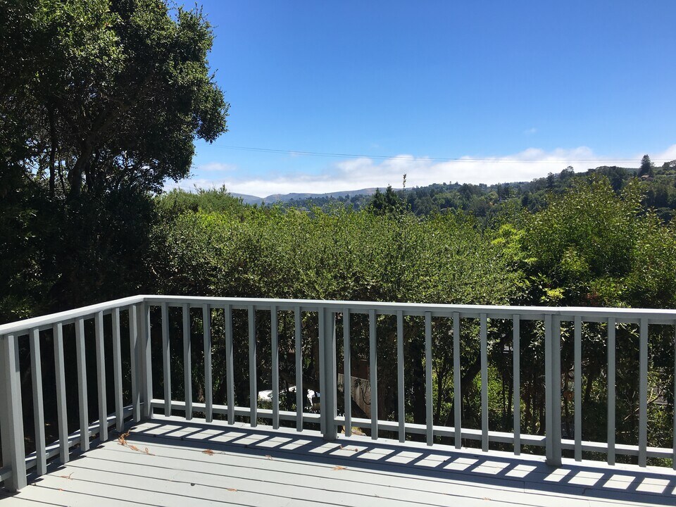71 Oakdale Ave in Mill Valley, CA - Building Photo