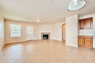 19319 Summer Island Way in Richmond, TX - Building Photo - Building Photo