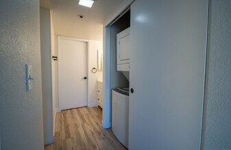 1019 Dornajo Way in Sacramento, CA - Building Photo - Building Photo