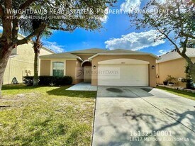 18417 Meadow Blossom Ln in Tampa, FL - Building Photo