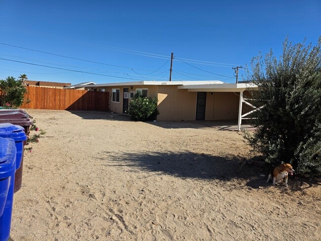 6553 Desert Queen Ave in Twentynine Palms, CA - Building Photo - Building Photo