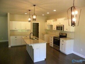 119 Engineer Ct in Harvest, AL - Building Photo - Building Photo