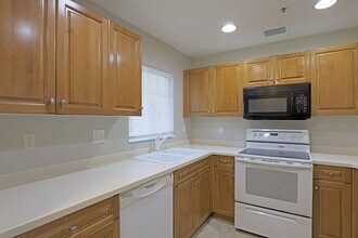12000 Rain Brook Ave in Ft. Myers, FL - Building Photo - Building Photo