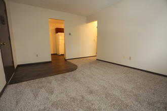 4206-4208 Orchard Dale Dr in Canton, OH - Building Photo - Interior Photo