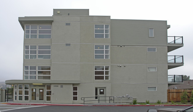 City Walk Condominiums in San Leandro, CA - Foto de edificio - Building Photo