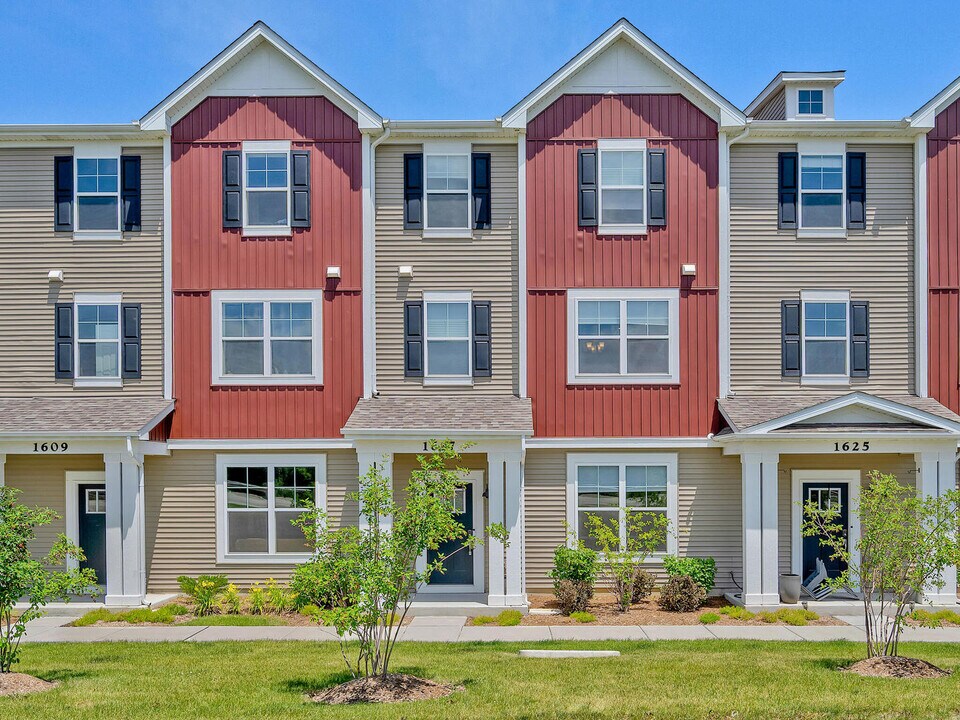 1617 Albany St in Grayslake, IL - Building Photo