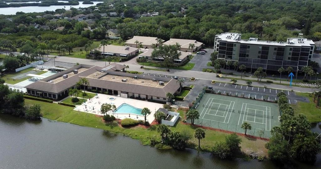 9860 62nd Ter in St. Petersburg, FL - Building Photo