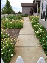 49326 E Dorado Pl in Bennett, CO - Building Photo - Building Photo