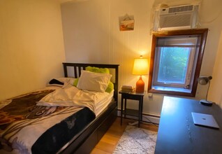 307 Shawmut Ave, Unit Shawmut Ave in Boston, MA - Building Photo - Building Photo