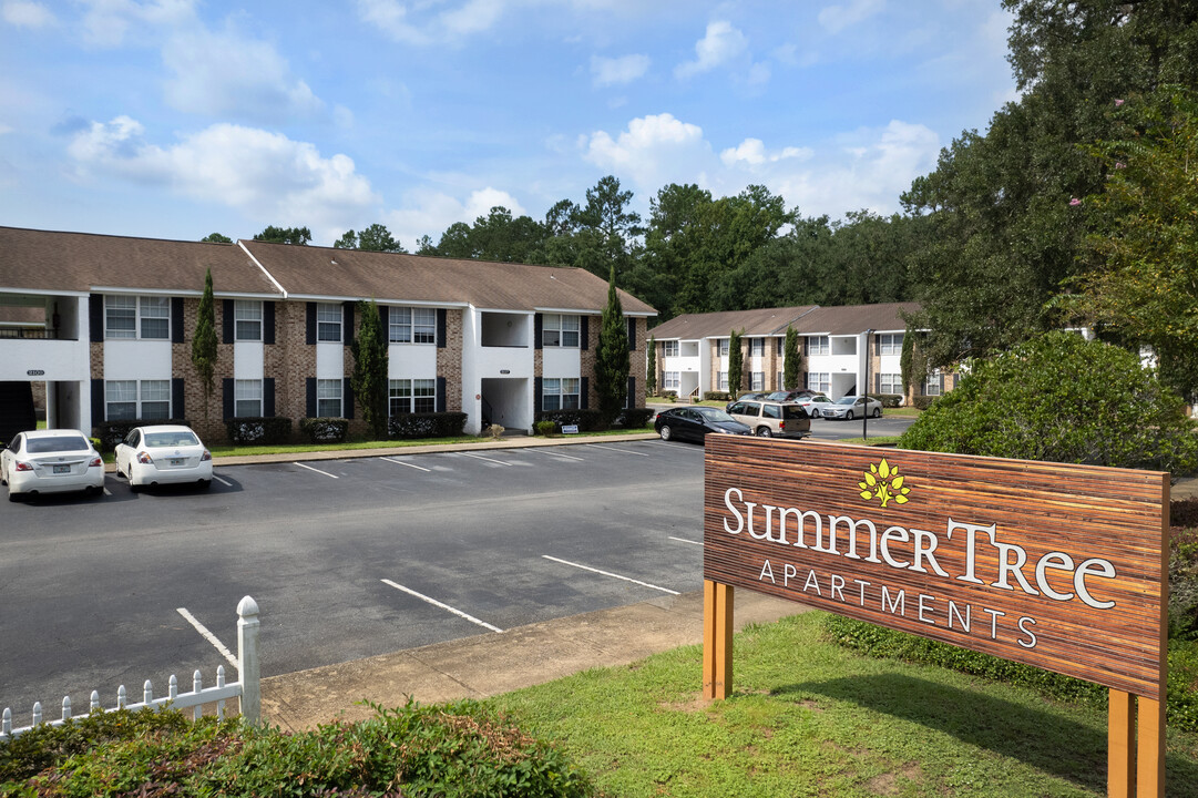 Summer Tree in Tallahassee, FL - Building Photo