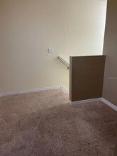 2950 Willowleaf Ln in Wesley Chapel, FL - Foto de edificio - Building Photo