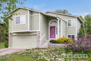 617 Rye Ridge Rd in Fountain, CO - Building Photo