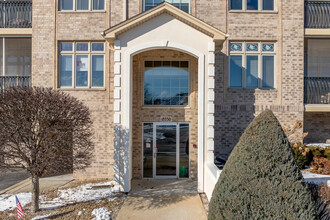 Pine Lake Condominiums in Tinley Park, IL - Building Photo - Building Photo