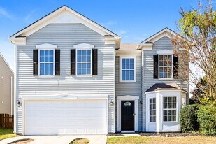 14202 Luscombe Farm Rd in Charlotte, NC - Building Photo
