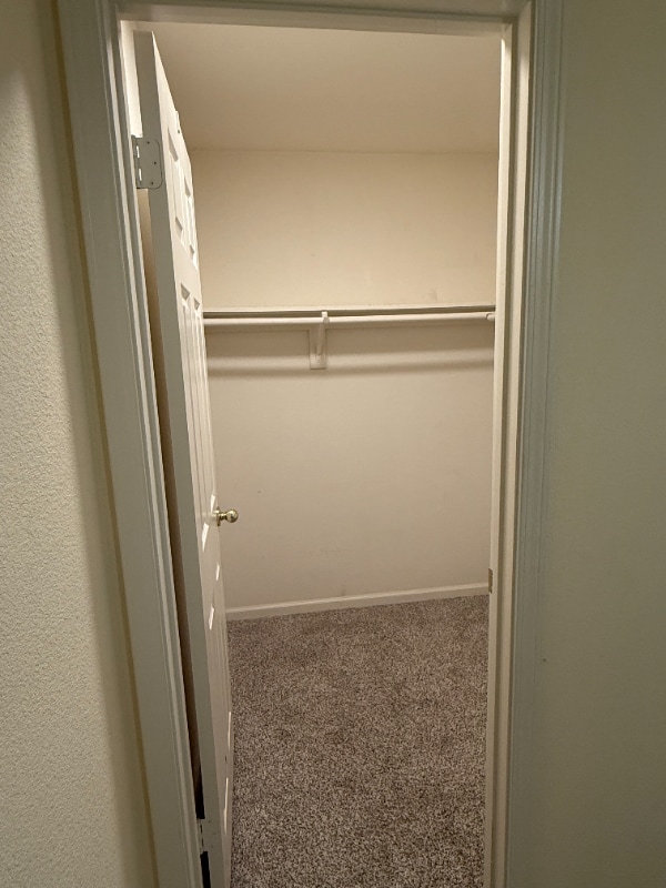 8725 Goldy Glen Way in Elk Grove, CA - Foto de edificio - Building Photo