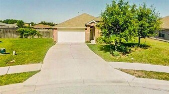 3336 Alexander Valley Cove in Round Rock, TX - Building Photo