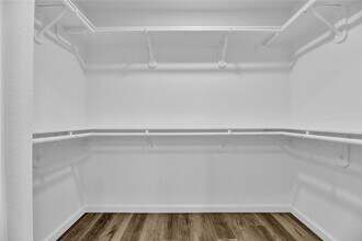 2726 Stetson Ln in Houston, TX - Building Photo - Building Photo