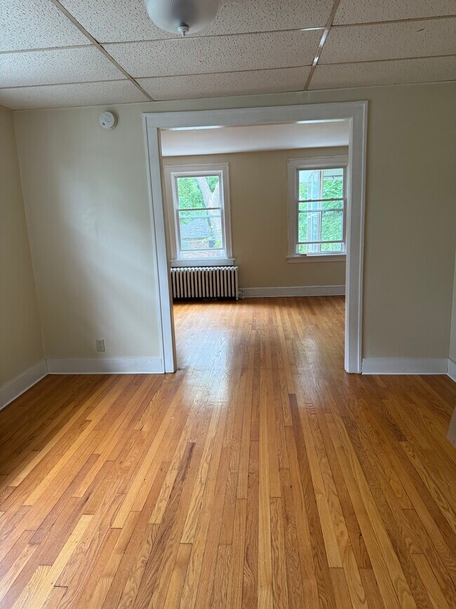 258 S Allen St, Unit 258 S.Allen 2nd fl in Albany, NY - Building Photo - Building Photo
