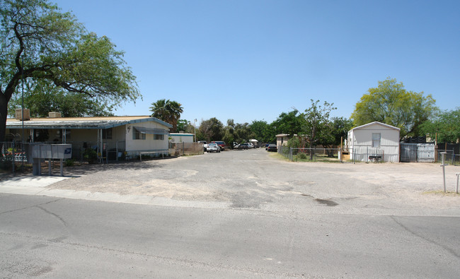 Shannon Trees in Tucson, AZ - Foto de edificio - Building Photo