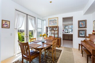 1165 Wales Dr in Encinitas, CA - Building Photo - Building Photo