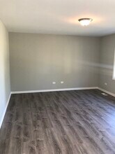 2914 Frank Turk Dr in Plainfield, IL - Building Photo - Building Photo