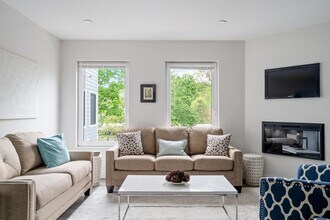 50 Stedman St in Boston, MA - Building Photo - Building Photo