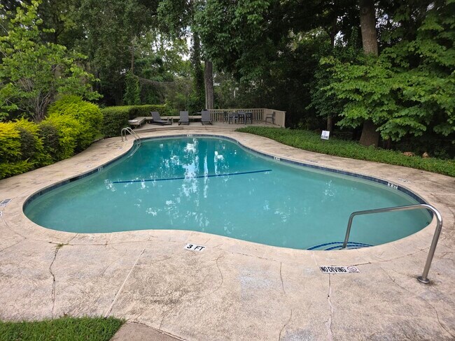 9625 Bayou Brook St in Houston, TX - Building Photo - Building Photo