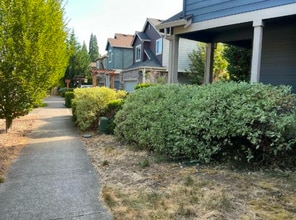 804 SW Windrose Terrace in Aloha, OR - Building Photo - Building Photo