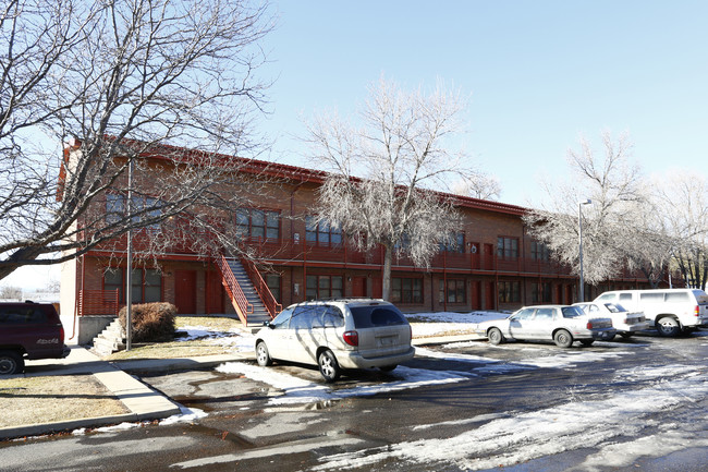 The Cannery in Longmont, CO - Building Photo - Building Photo