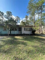 27644 Green Willow Run in Wesley Chapel, FL - Building Photo