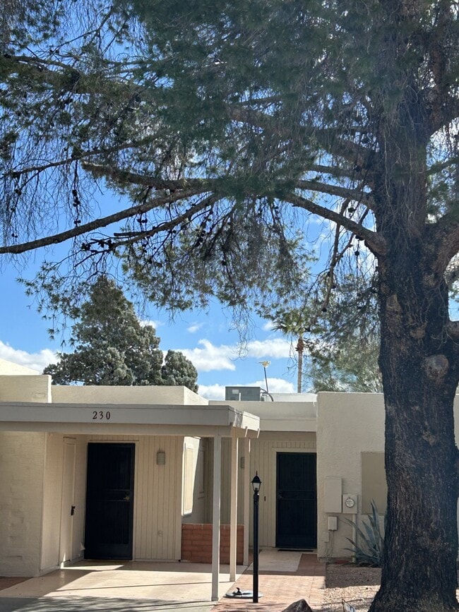 property at 230 N Calle Acuarela