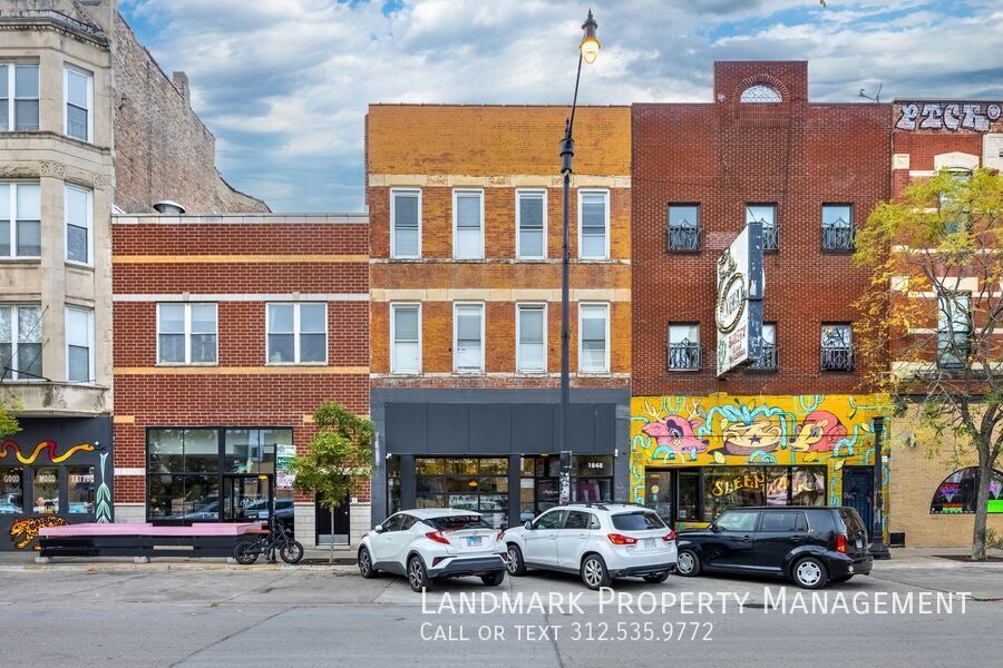 1848 S Blue Island Ave in Chicago, IL - Building Photo