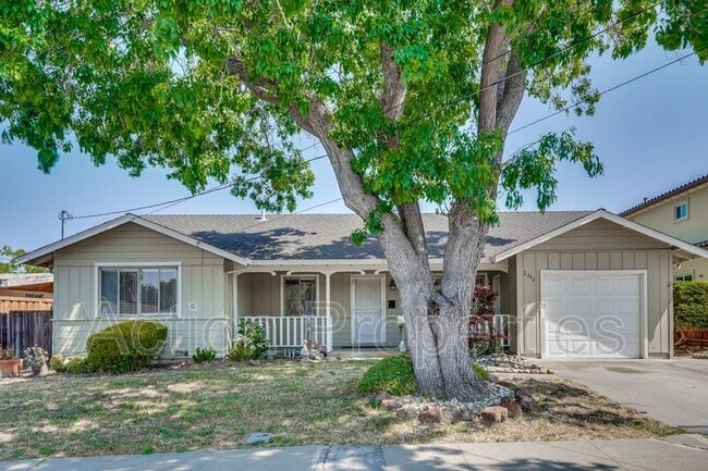 2343 Jackson St in Fremont, CA - Building Photo - Building Photo