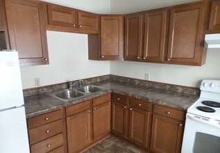 509 S Pennsylvania Ave in Lansing, MI - Foto de edificio - Building Photo