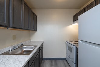 Park Pointe Apartments in St. Louis, MO - Building Photo - Building Photo