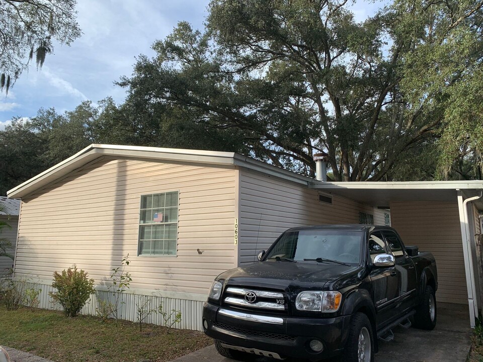 10603 Bay Hills Cir in Thonotosassa, FL - Foto de edificio