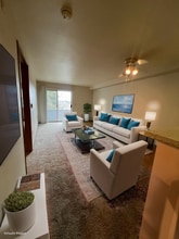 Northbrook Place Apartments in Seattle, WA - Building Photo - Building Photo