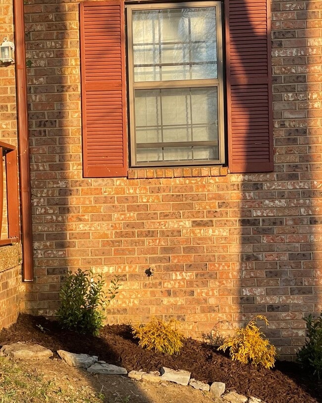 356 Ladybird Dr in Nashville, TN - Building Photo - Building Photo
